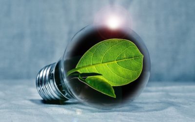 Hospitality Initiatives for a Greener Future