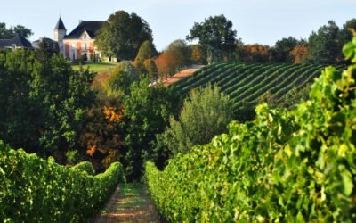 Aquitaine: Le vin, la mer et l’hôtellerie haut de gamme